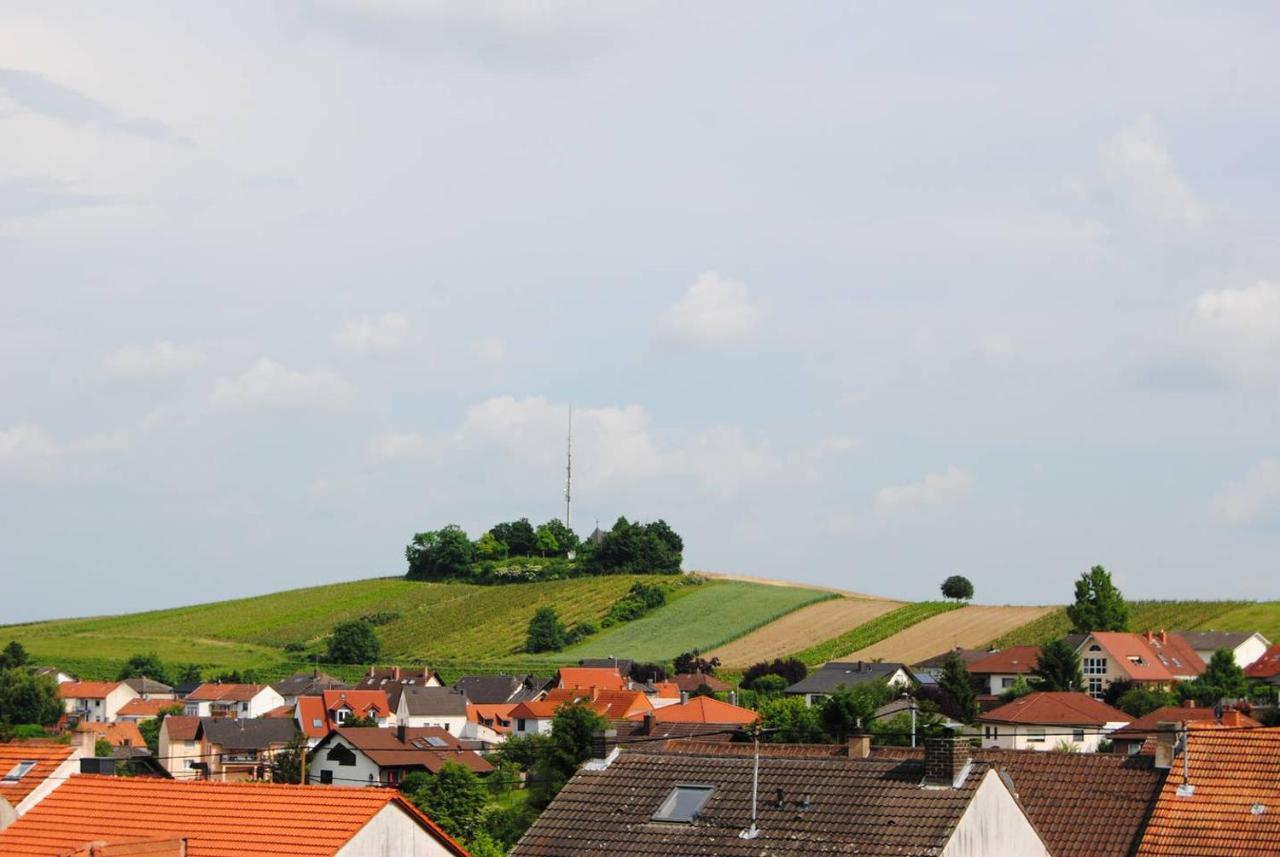 Ferienwohnung Kirchbergblick Hackenheim Buitenkant foto